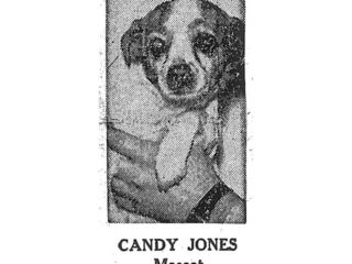 Candy Jones Mascot (dog)
